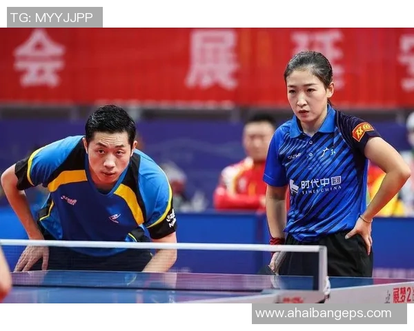 杭州乒乓球队转型之路的挑战与机遇全面解析